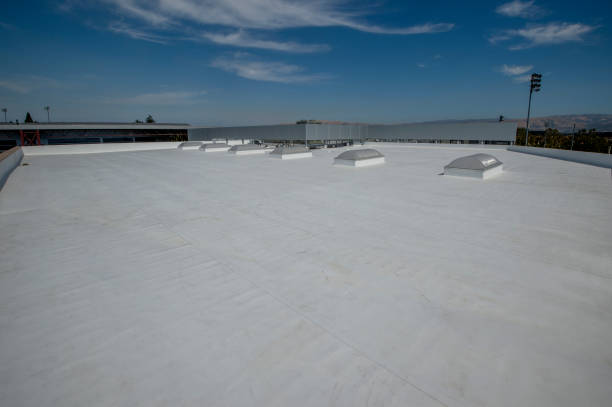 Best Sheet Metal Roofing  in Pittsfield, IL